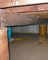 Mold and rot thriving in a dirt floor crawl space in Easton