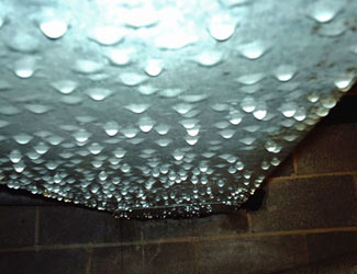 a flooded basement floor in a Hamilton home