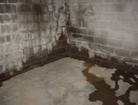 flooded basement with leaky basement walls in Mount Poco, NJ & PA