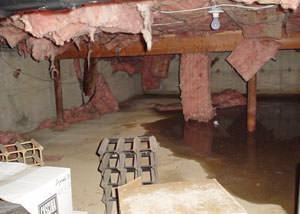 Fiberglass dripping off of the ceilings of a Phillipsburg crawl space
