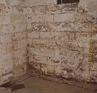 Peeling, Chipping, Basement Wall Coatings in Greene