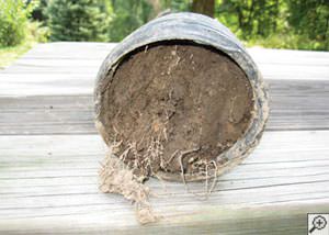clogged french drain found in Westfall, New Jersey and Pennsylvania